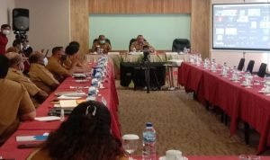 Pemerintah Provinsi Papua